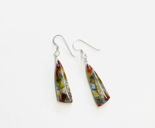 Earrings with brown opalized wood