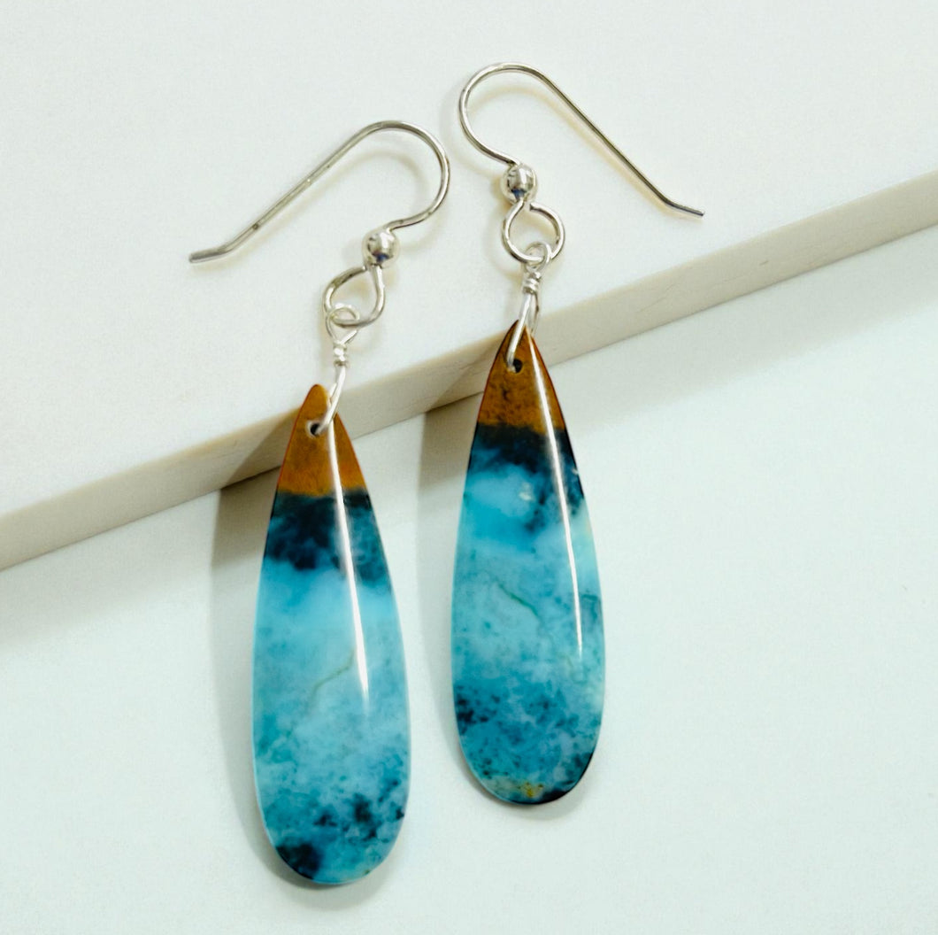 Earrings with blue Opalized wood
