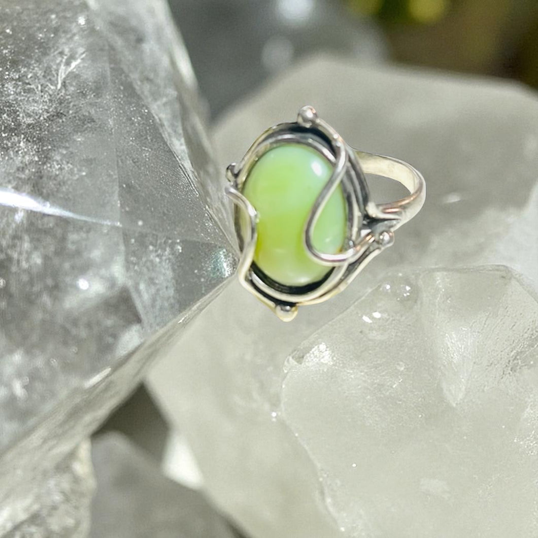 Ring with petrified opalized wood