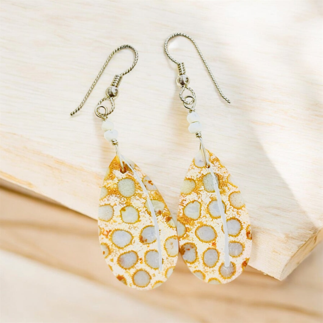 Earring with colorful druzy fossils beads