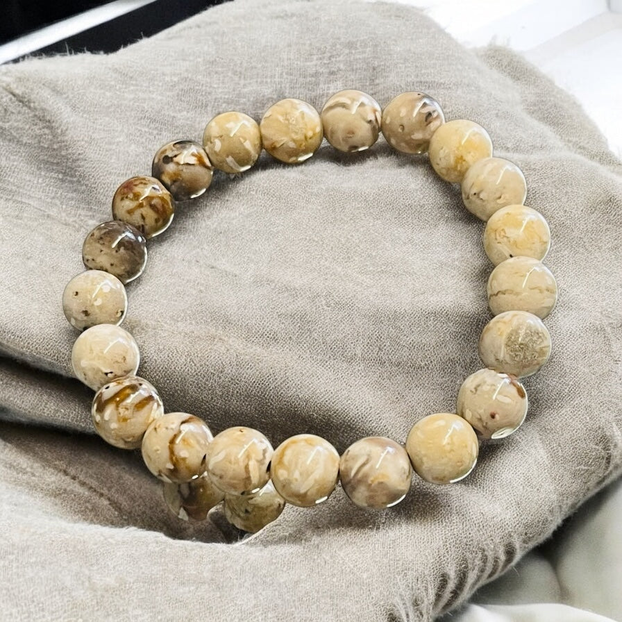 Bracelet with petrified palm beige root