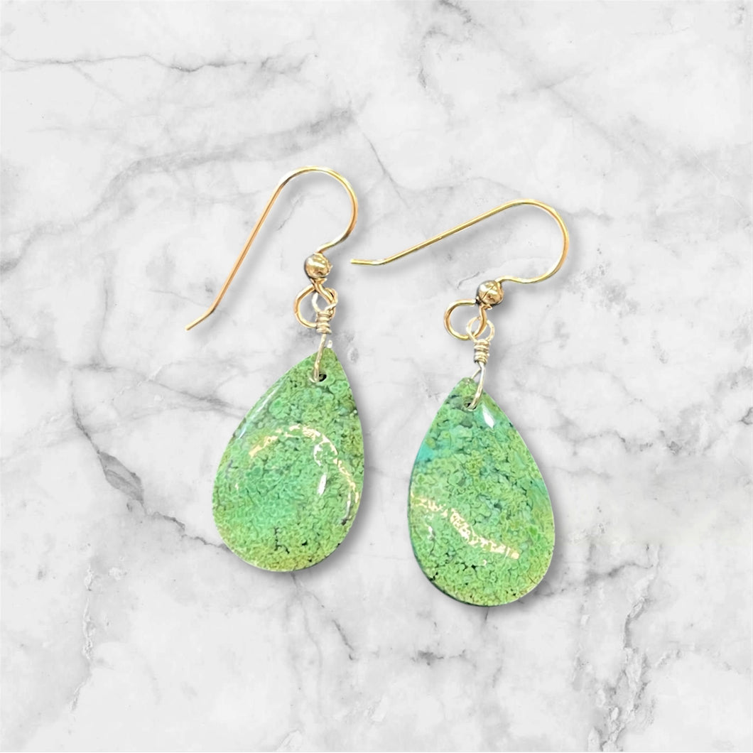 Earrings with gem silica