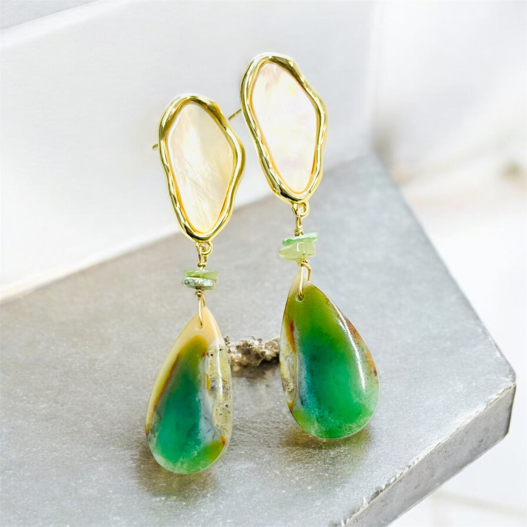 Earrings studs with opalized petrified wood