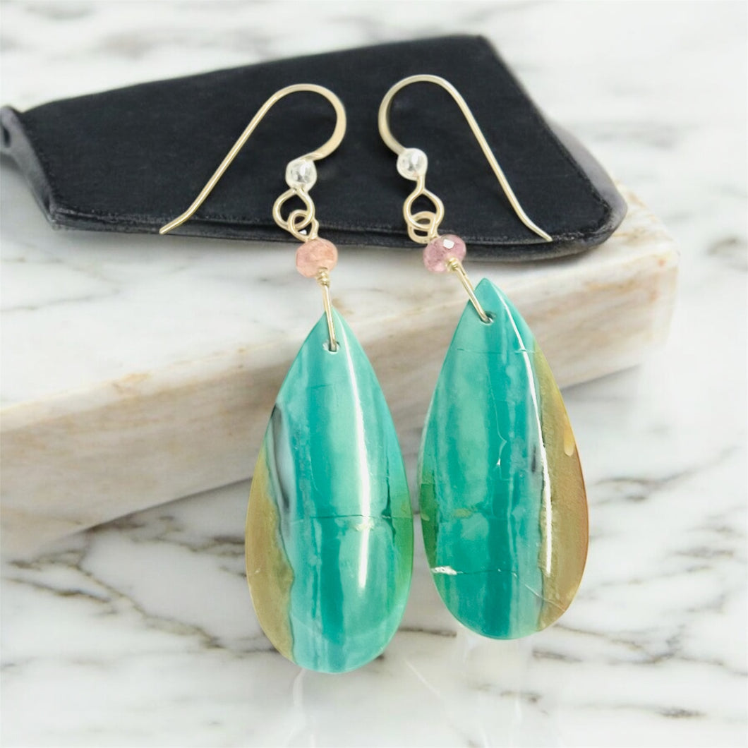 Earrings with light blue and brown opalized wood