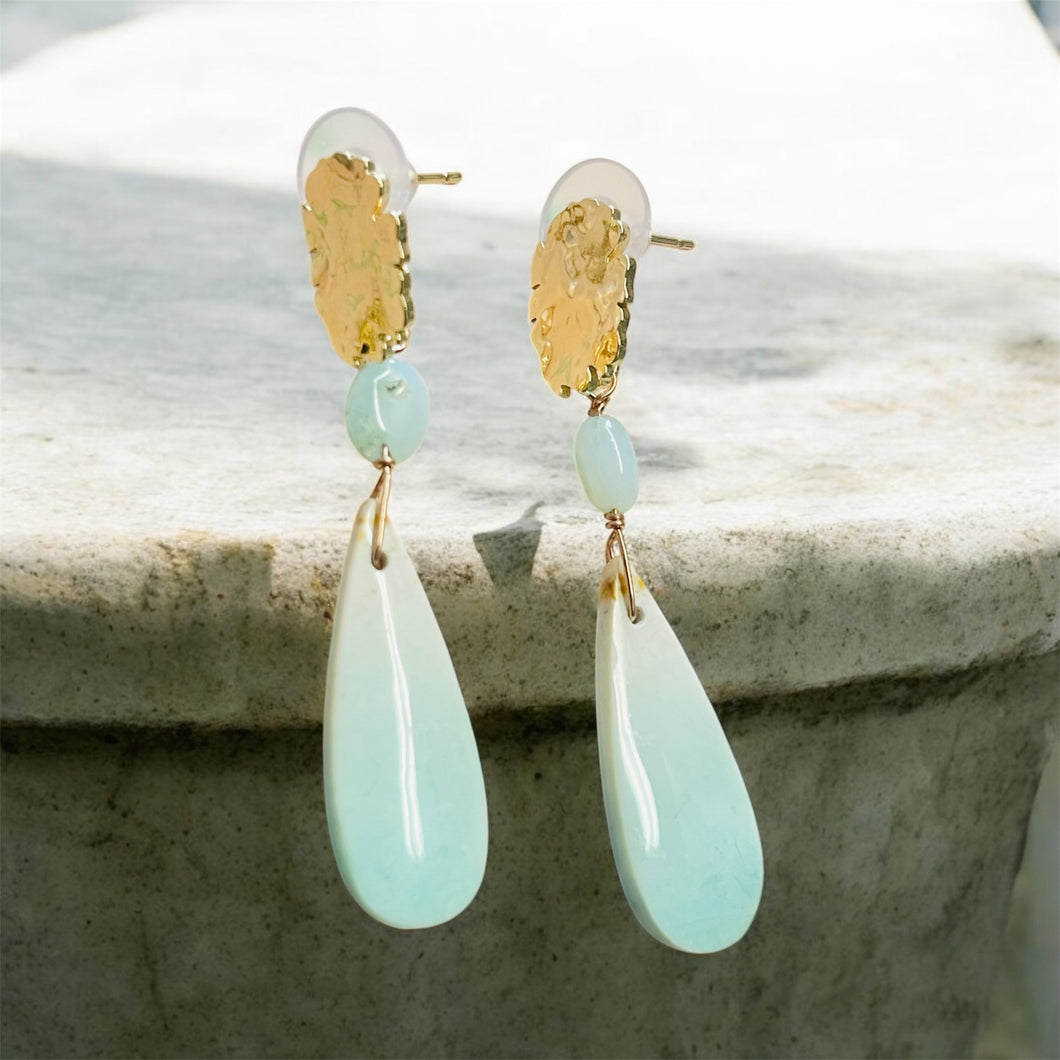 Earrings with petrified Opalized wood