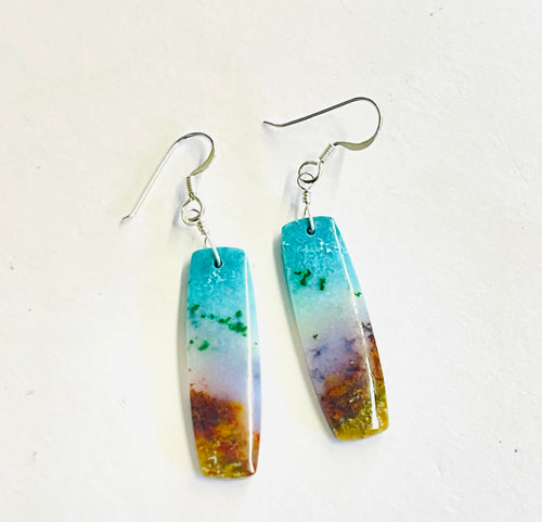 Earrings with petrified Opalized wood