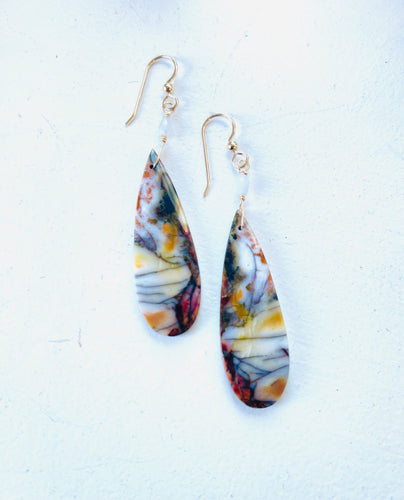 Earring with Autumn colors of opalized petrified wood