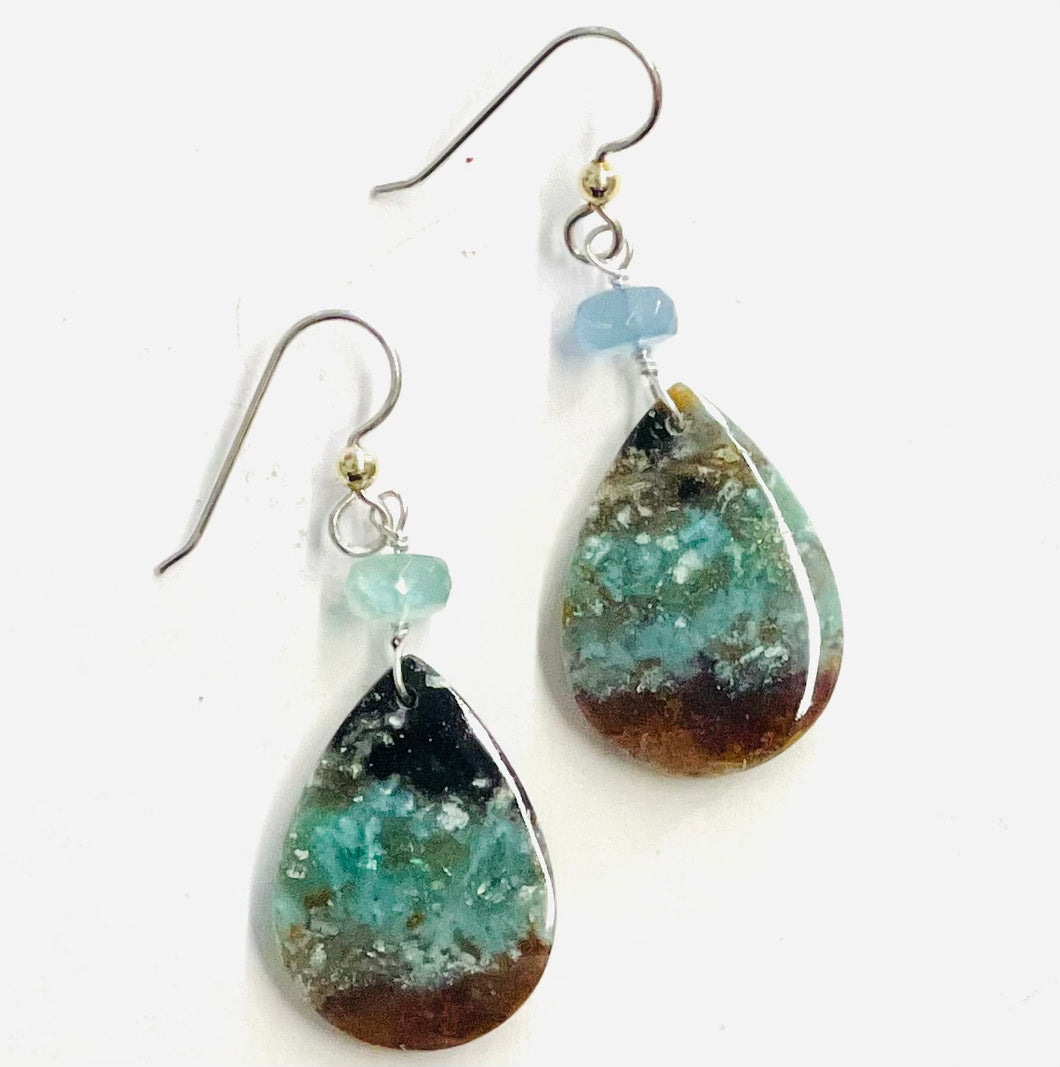 Earrings with multiple opalized wood colors