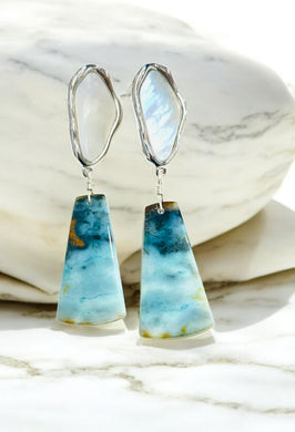 Earrings studs with opalized petrified wood