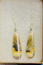 Earrings with maligano jasper