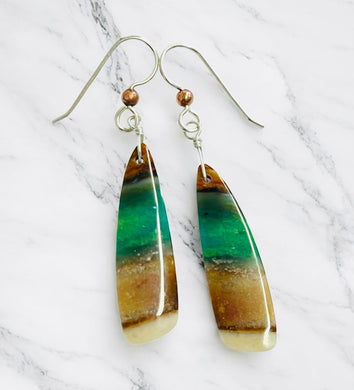 Earrings with petrified opalized wood