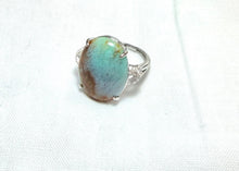 Ring with petrified opalized wood