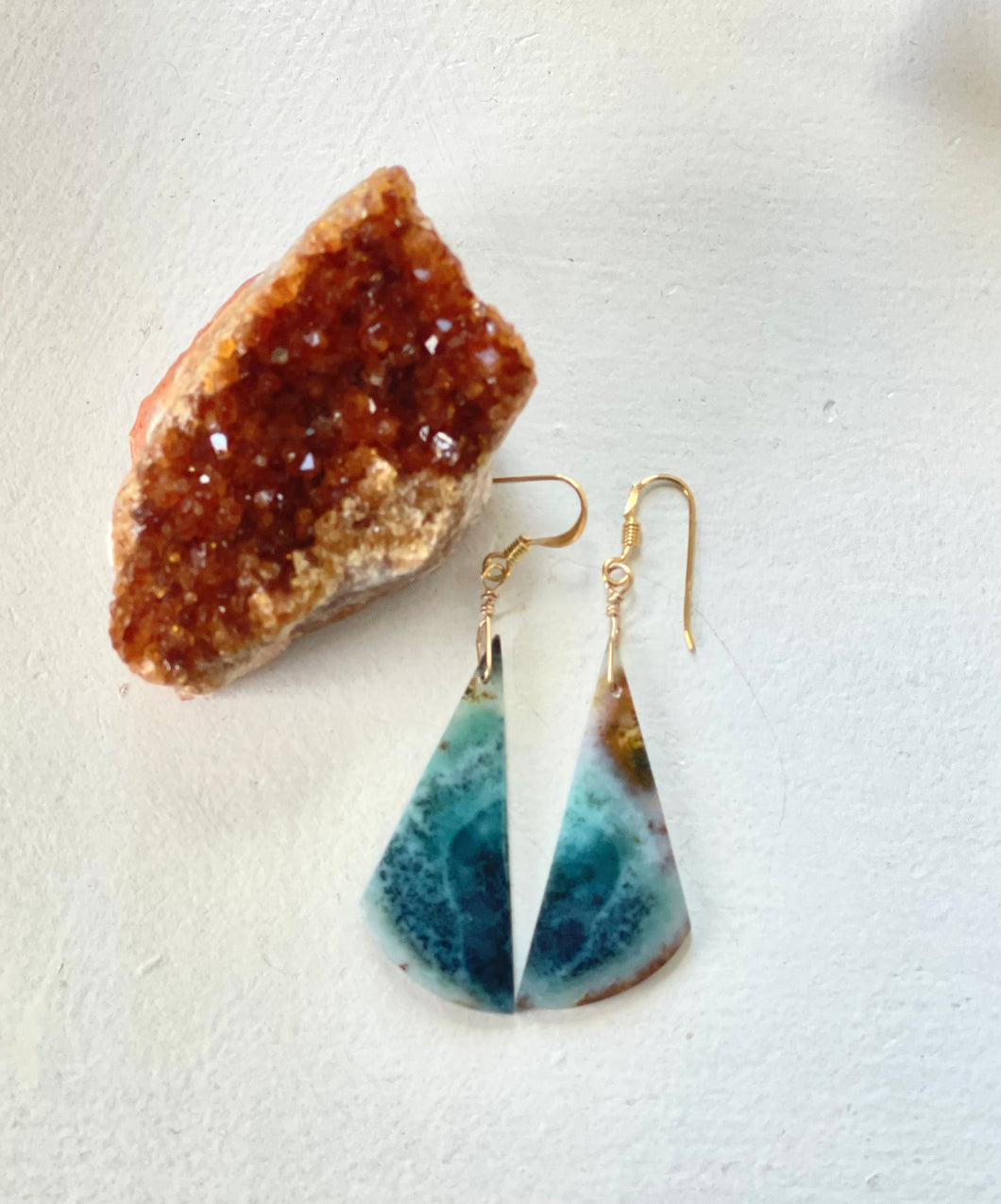 Earrings with opalized wood