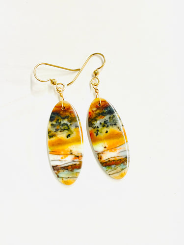 Earring with Autumn colors of opalized petrified wood