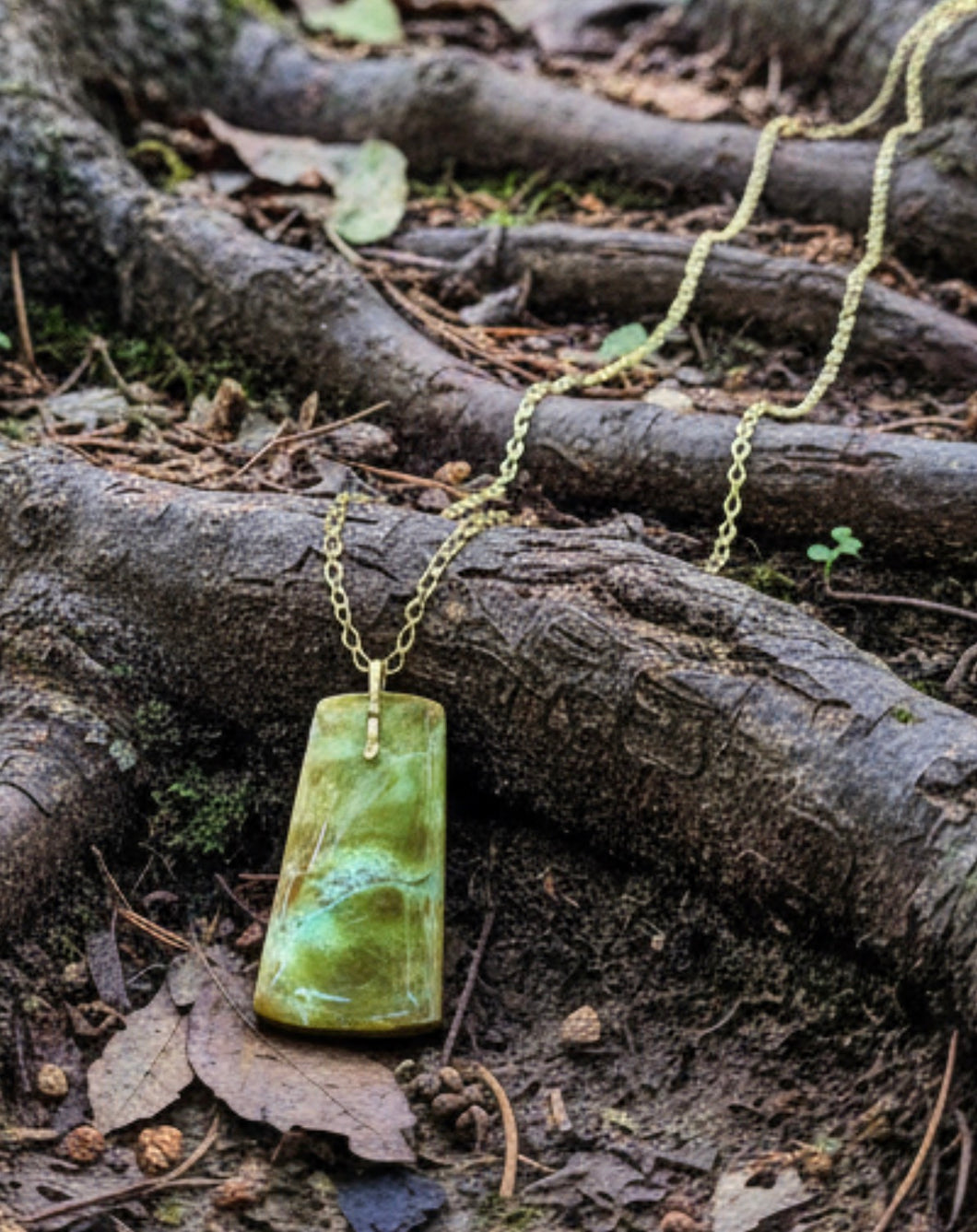 Pendant with natural petrified opalized wood