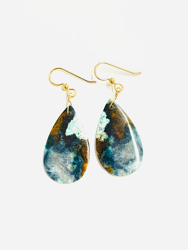 Earrings with opalized wood