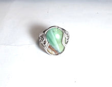Ring with petrified opalized wood