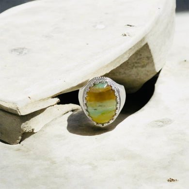Ring with petrified opalized wood