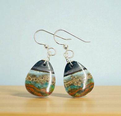 Earrings with multi-color opalized wood