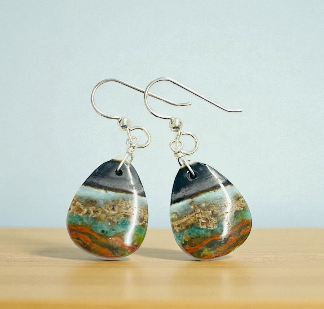 Earrings with multi-color opalized wood