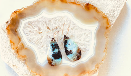 Earrings with petrified opalized wood