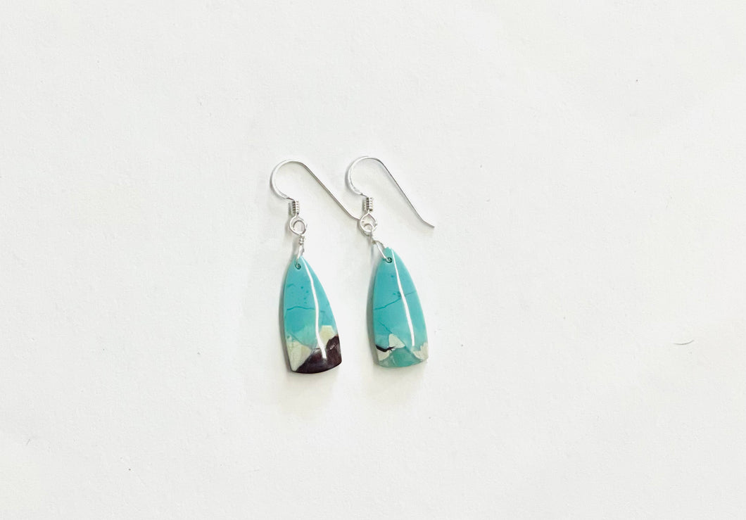 Earrings with blue brown opalized wood