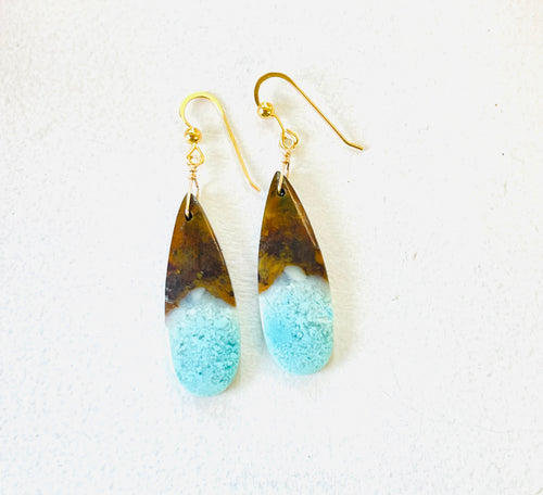 Earrings with blue-brown petrified wood