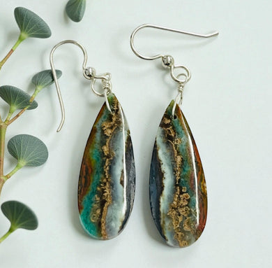 Earrings with multi-color opalized wood
