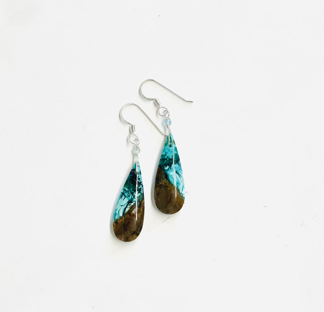 Earrings with blue brown opalized wood
