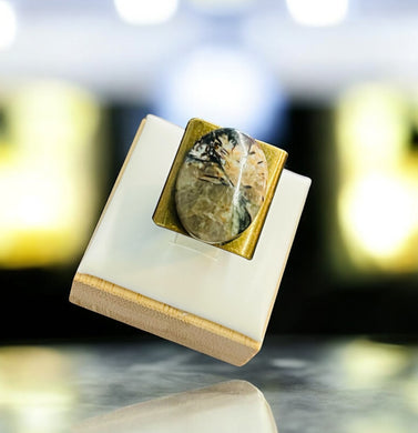 Ring with petrified palm root