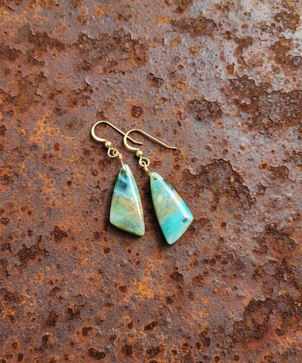 Earrings with petrified opalized wood