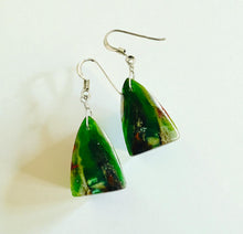 Earrings with petrified opalized wood