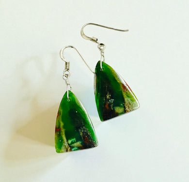 Earrings with petrified opalized wood