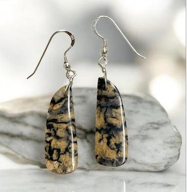 Earrings with tiger agate