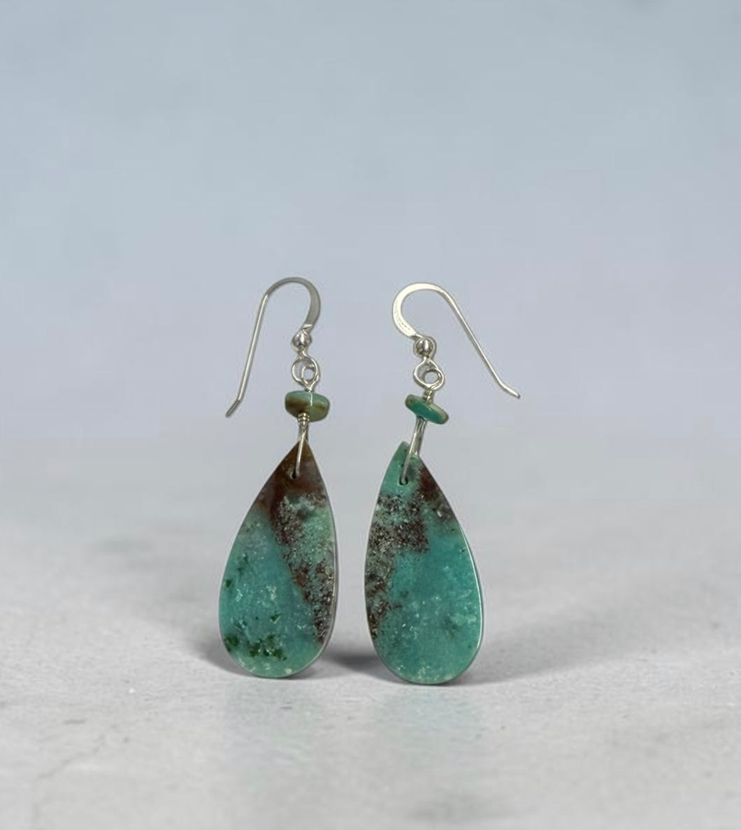 Earrings with blue petrified Opalized wood