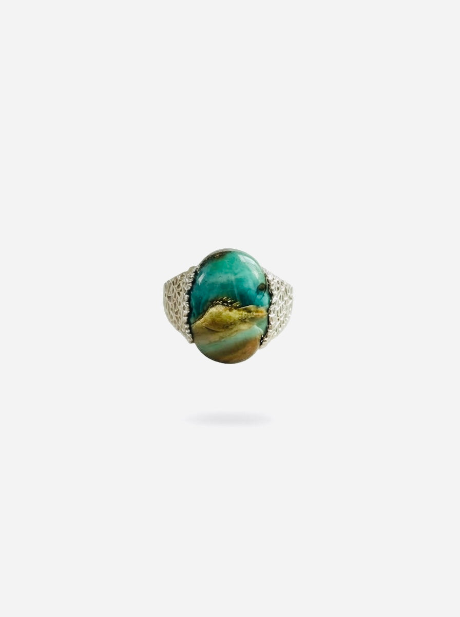 Ring with petrified opalized wood