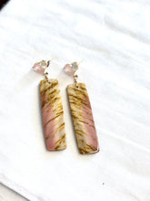 Earrings with picture jasper