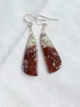 Earrings with plume agate