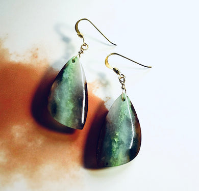 Earrings with petrified opalized wood