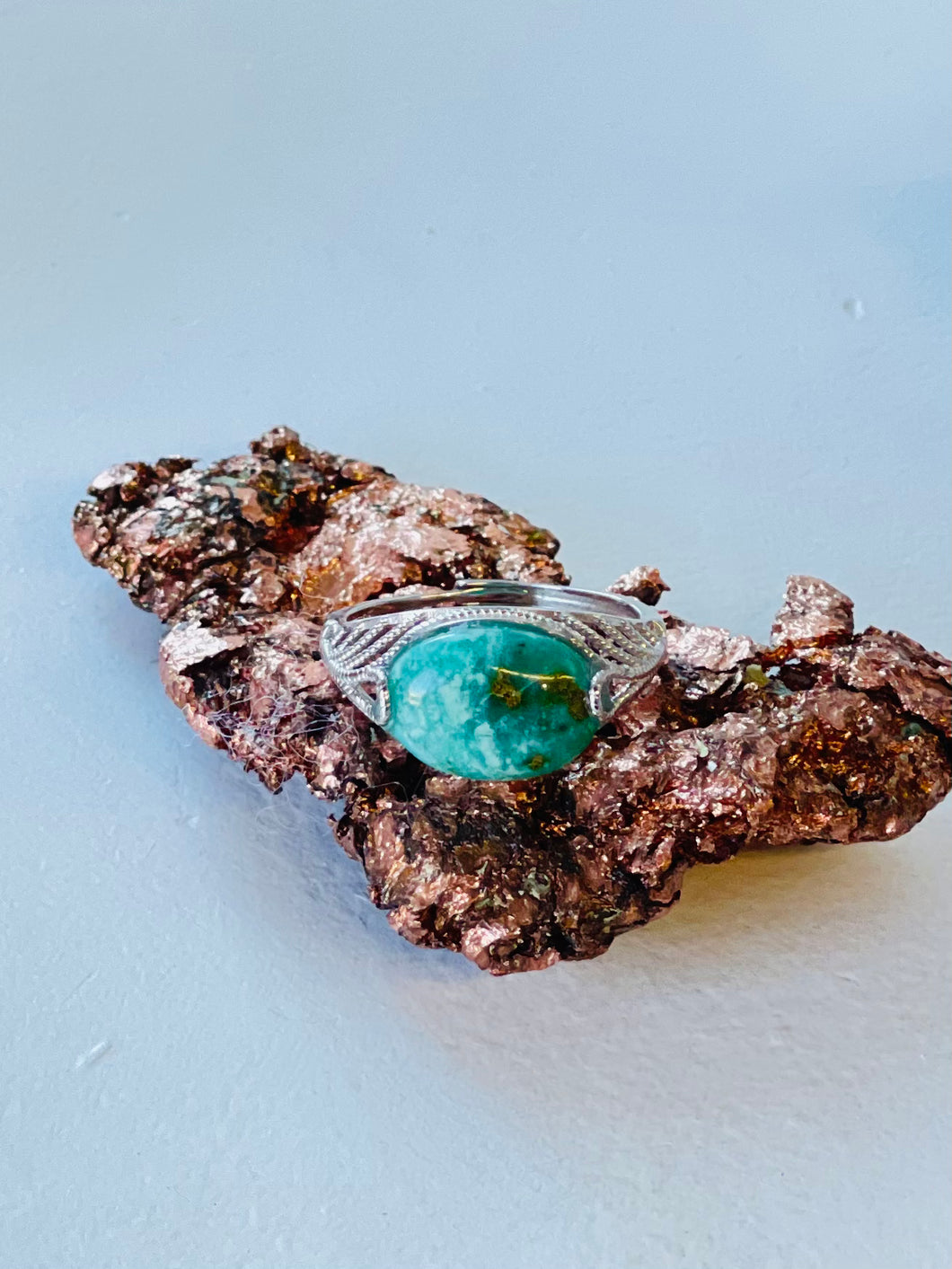 Ring with beautiful petrified opalized wood