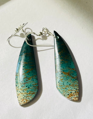 Earrings with ocean Jasper