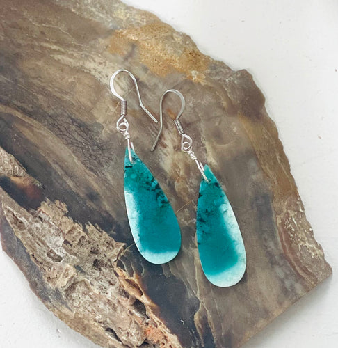 Earrings with opalized wood