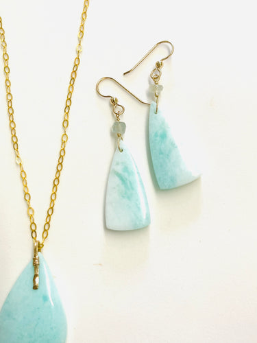 Earrings with blue Opalized wood