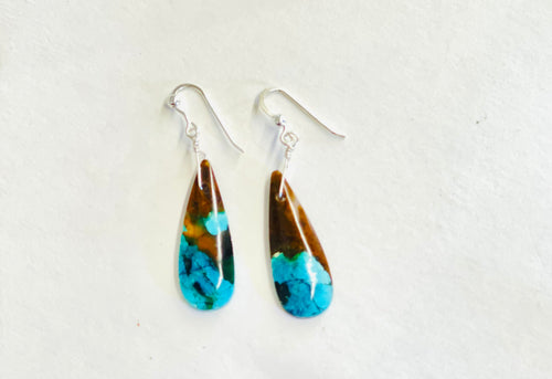 Earrings with blue-brown petrified wood