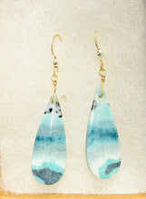 Earrings with blue petrified Opalized wood