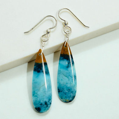 Earrings with blue Opalized wood
