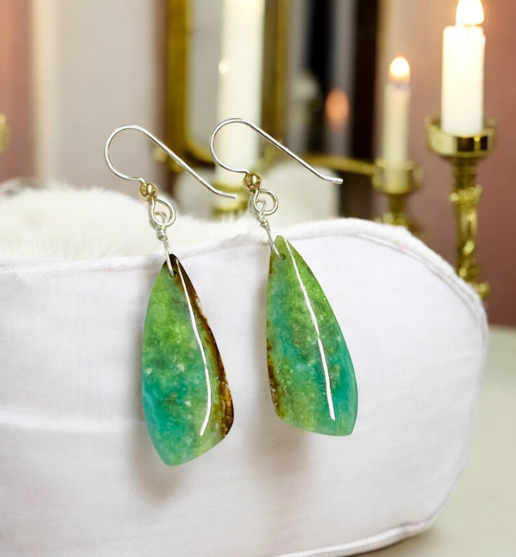 Earrings with petrified opalized wood