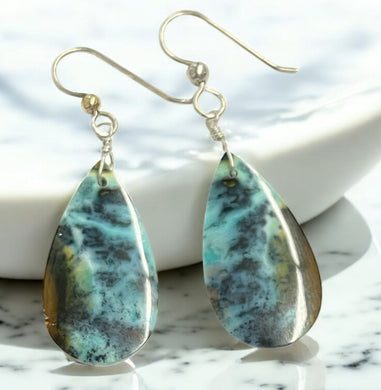 Earrings with chrysocolla on opalized wood