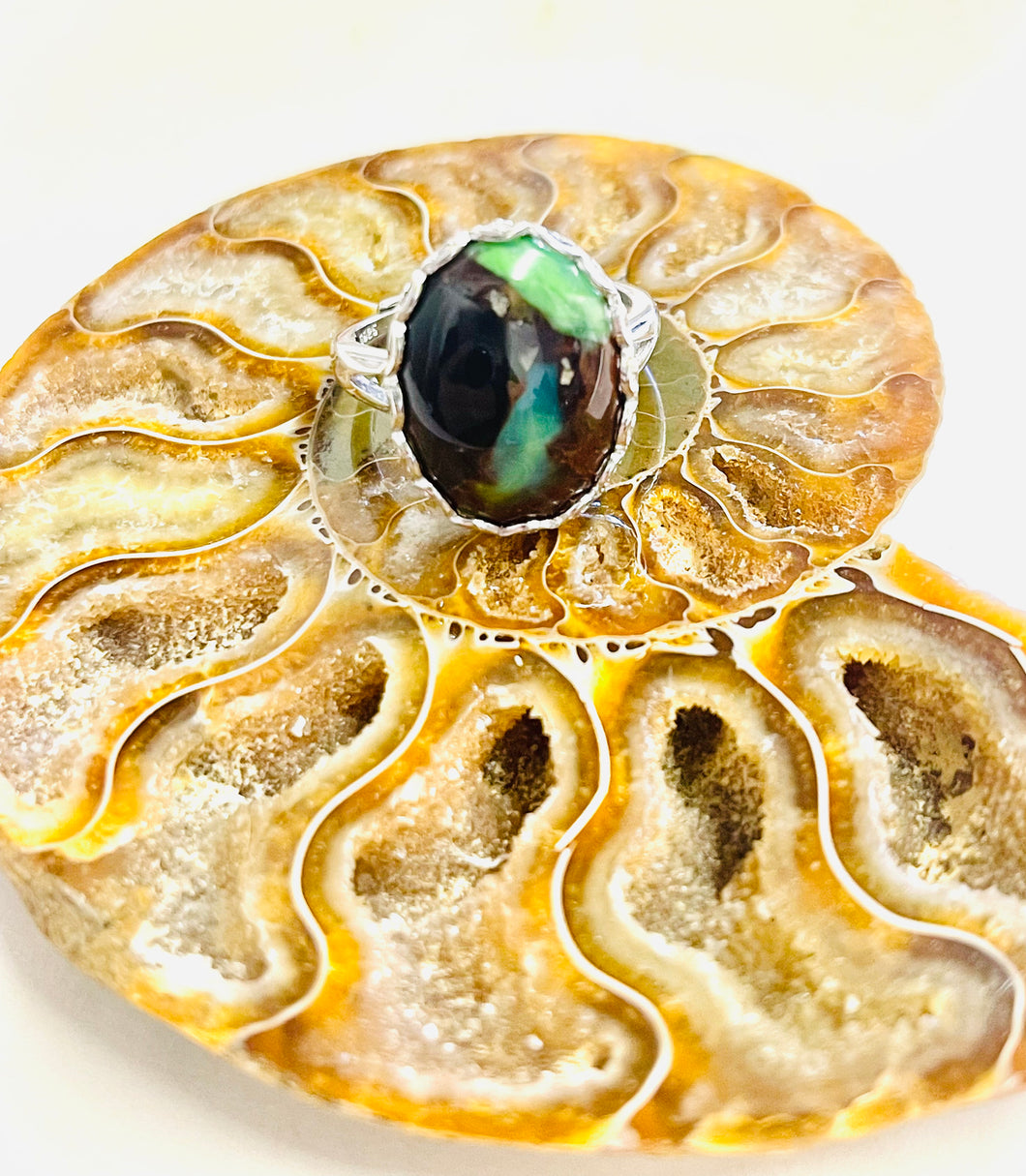 Ring with natural multi color opalized petrified wood