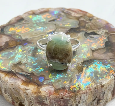 Ring with petrified opalized wood